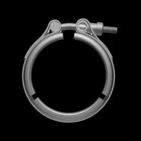 198382 Borgwarner Bwa Clamps