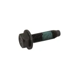 11546600 Gm 10 Pack Oem Bolt