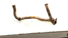1979 Chevy El Camino Exhaust Y-pipe Oem Manifold Downpipe 5.0L Used. Price: $242.25.