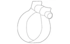 For Bmw (2009-2023) Muffler Clamp (1 Pc) Hjs + Year Warranty New. Price: $27.55.