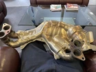 2023-2025 Toyota GR86 Catalytic Converter Front Exhaust Used. Price: $750.00.